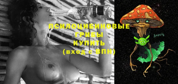 ALPHA PVP Сосновоборск
