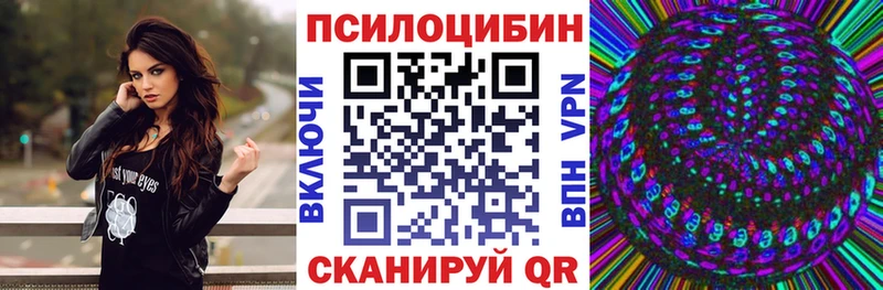 Купить где  Лаишево  Псилоцибиновые грибы прущие грибы 