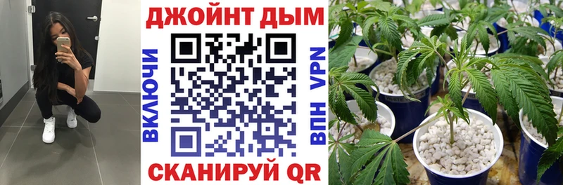 Купить закладки  Лаишево  Бошки марихуана Ganja 